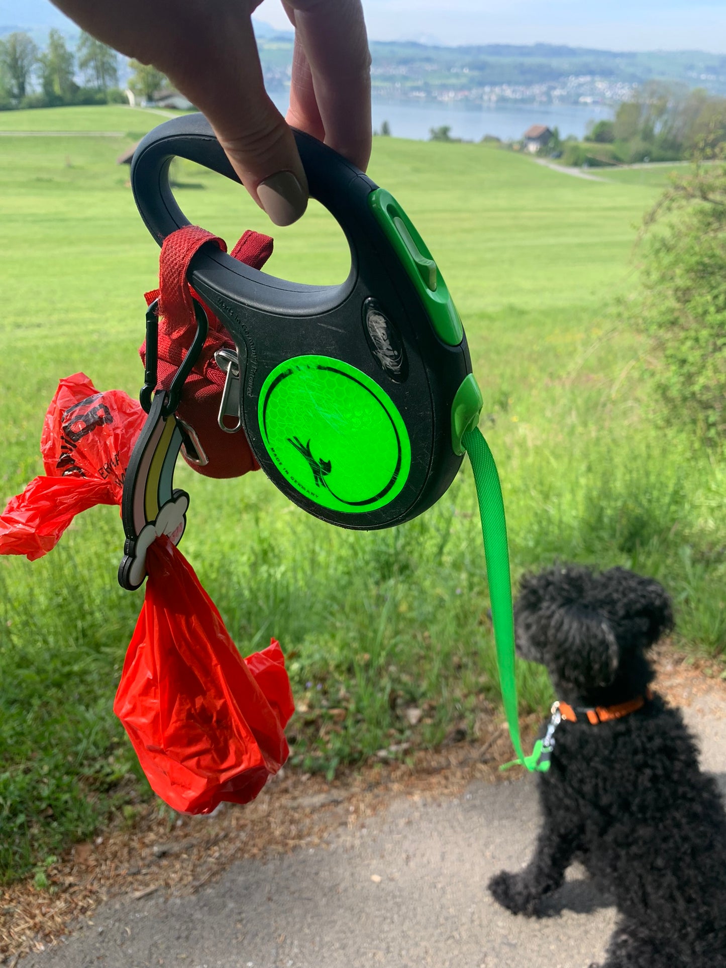 Regenbogen-Kot-Kumpel